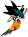 San Jose Sharks